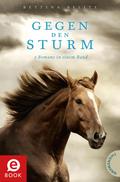 Gegen den Sturm