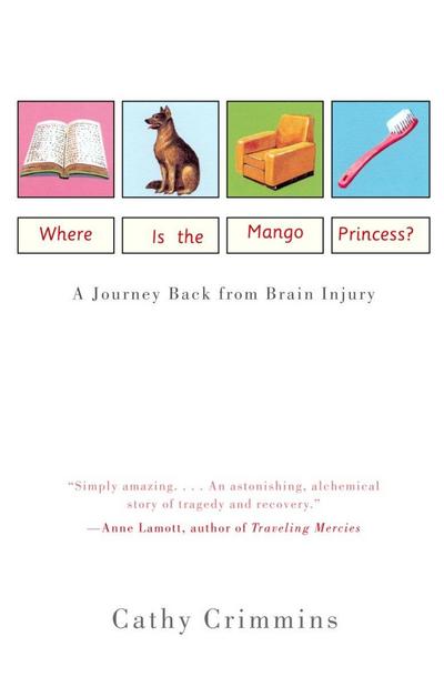 Where Is the Mango Princess?: A Journey Back From Brain Injury
