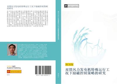 shuang kui feng li fa dian ji te shu yun xing gong kuang xia li ci kong zhi ce lve de yan jiu