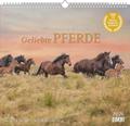 Geliebte Pferde 2026