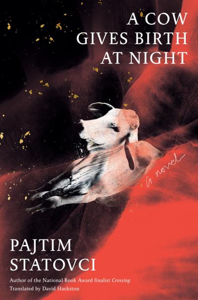 A Cow Gives Birth at Night