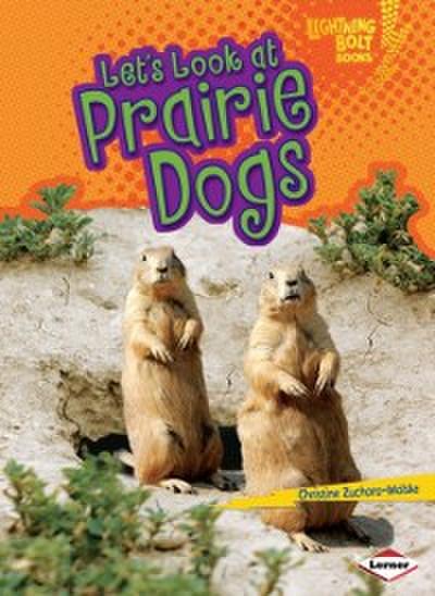 Let’s Look at Prairie Dogs