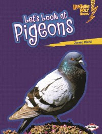 Let’s Look at Pigeons