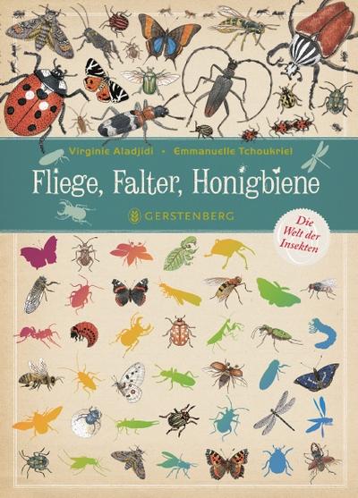 Aladjidi:Fliege,Falter,