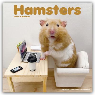 Hamsters - Hamster 2024 - 16-Monatskalender