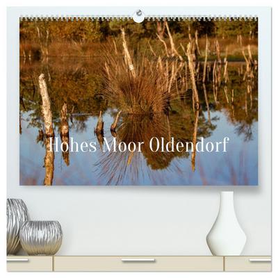 Hohes Moor Oldendorf (hochwertiger Premium Wandkalender 2026 DIN A2 quer), Kunstdruck in Hochglanz