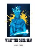 What the Seer Saw