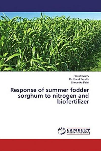 Response of summer fodder sorghum to nitrogen and biofertilizer