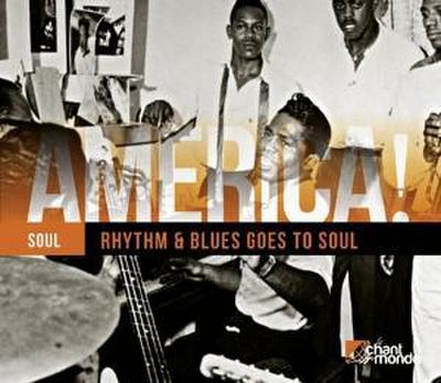 Brown, J: America! Vol.12-Rhythm & Blues Goes