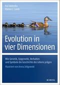 Evolution in vier Dimensionen