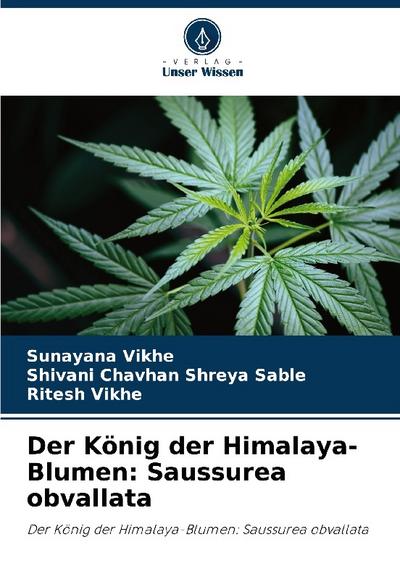 Der König der Himalaya-Blumen: Saussurea obvallata