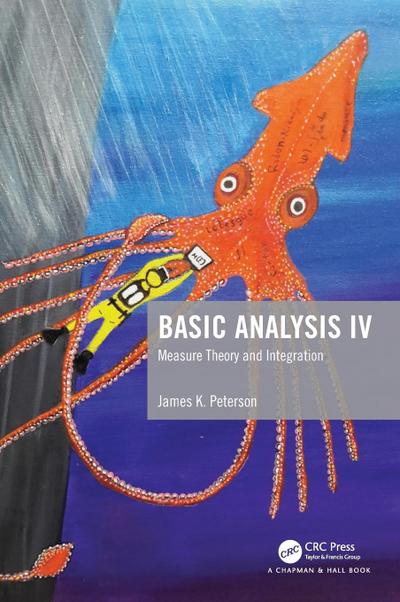 Basic Analysis IV