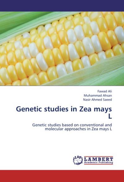 Genetic studies in Zea mays L