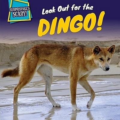 LOOK OUT FOR THE DINGO