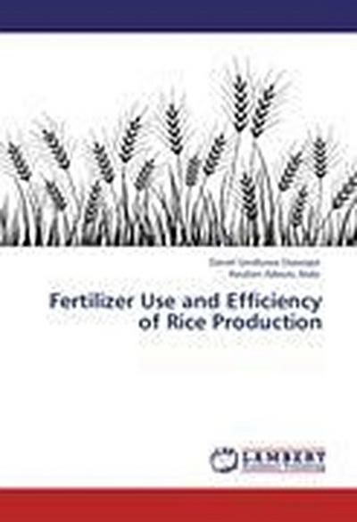 Fertilizer Use and Efficiency of Rice Production