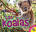 Los koalas
