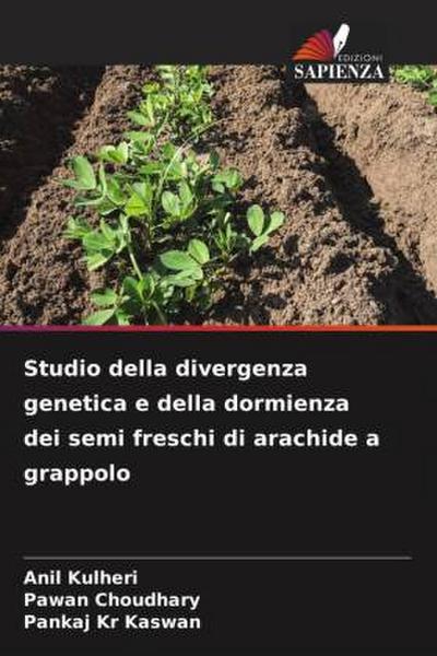 Studio della divergenza genetica e della dormienza dei semi freschi di arachide a grappolo