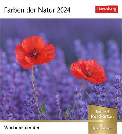 Farben der Natur Postkartenkalender 2024. Farbenprächtige Naturaufnahmen in einem Fotokalender im Postkartenformat. Tischkalender zum Aufstellen mit 53 Postkarten