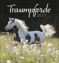 Traumpferde 2027