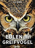 Eulen und Greifvögel