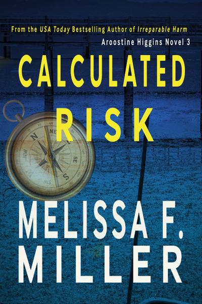 Calculated Risk (Aroostine Higgins Novels, #3)