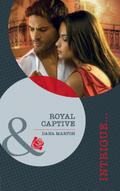 Virgin Princess, Tycoon’s Temptation / The Secret Child & The Cowboy Ceo