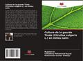 Culture de la gourde Tinda (Citrullus vulgaris L.) en milieu salin