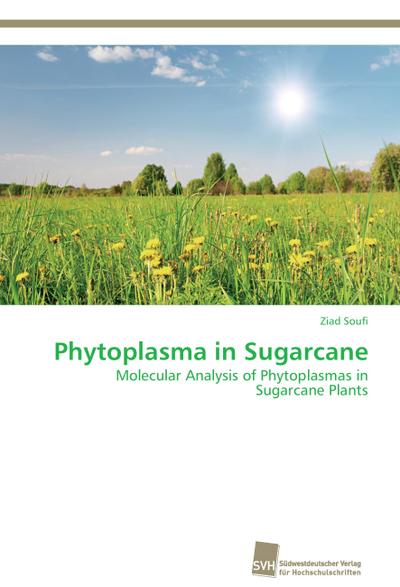 Phytoplasma in Sugarcane