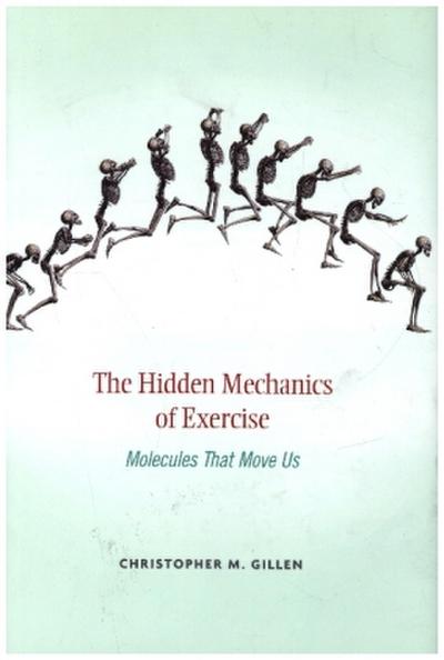 Hidden Mechanics of Exercise: Molecules That Move Us