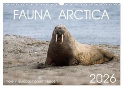 Fauna arctica (Wandkalender 2026 DIN A3 quer), CALVENDO Monatskalender
