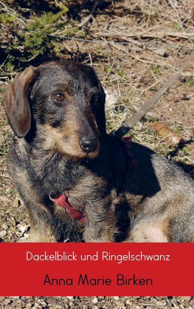 Dackelblick und Ringelschwanz