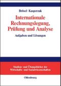 Internationale Rechnungslegung, Prüfung und Analyse