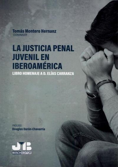 La justicia penal juvenil en Iberoamérica : libro homenaje a D. Elías Carranza