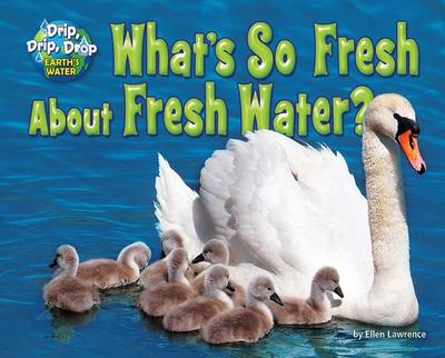 What’s So Fresh about Fresh Water?