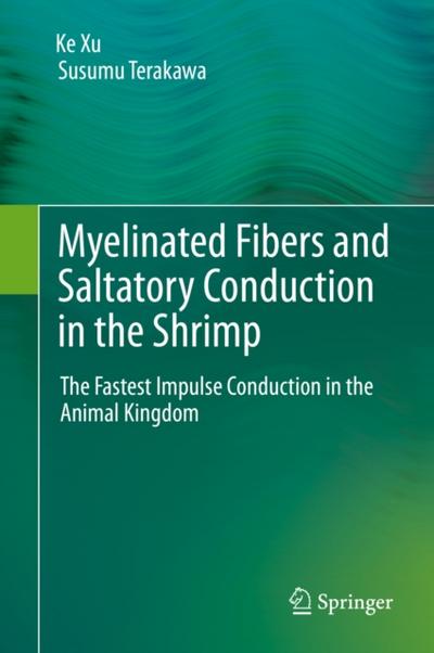 Myelinated Fibers and Saltatory Conduction in the Shrimp