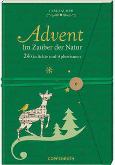 Advent im Zauber der Natur