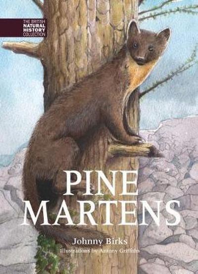 Birks, J: Pine Martens