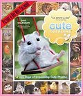 Cute Overload 2013 Wall Calendar: 365 Days of Impossibly Cute Photos