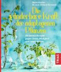 Die wunderbare Kraft der adaptogenen Pflanzen