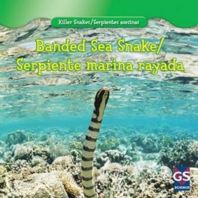 Banded Sea Snake / Serpiente marina rayada