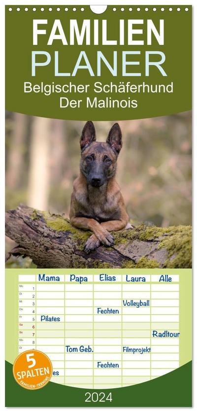 Familienplaner 2024 - Belgischer Schäferhund - Der Malinois mit 5 Spalten (Wandkalender, 21 x 45 cm) CALVENDO