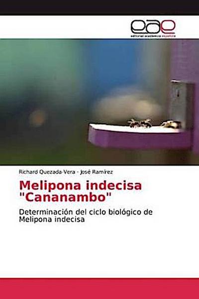 Melipona indecisa "Cananambo"
