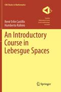 An Introductory Course in Lebesgue Spaces