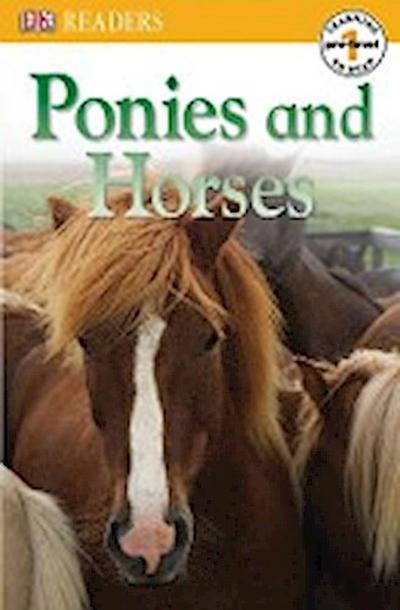 DK READERS L0 PONIES & HORSES