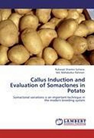 Callus Induction and Evaluation of Somaclones in Potato