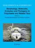 Morphology, Molecules, Evolution and Phylogeny in Polychaeta and Related Taxa