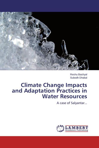 Climate Change Impacts and Adaptation Practices in Water Resources