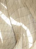 Embodied Light