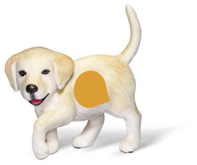 tiptoi® Golden-Retriever-Welpe