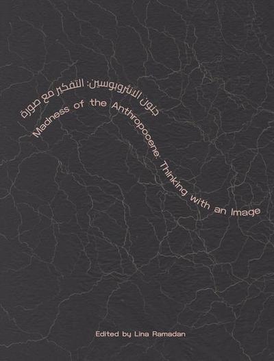 Madness of the Anthropocene